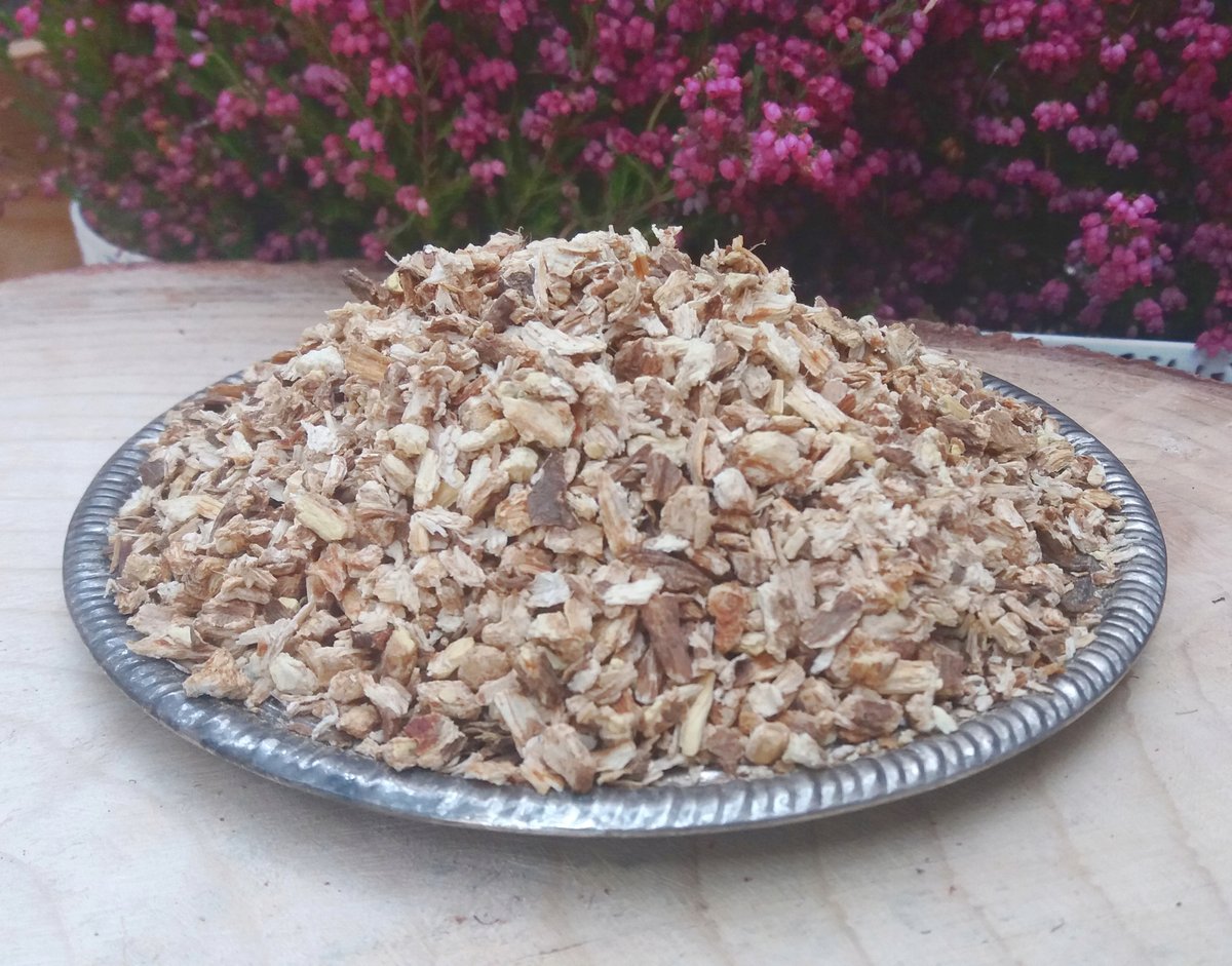 Lubczyk korzeń Levisticum officinale 250 g cert.
