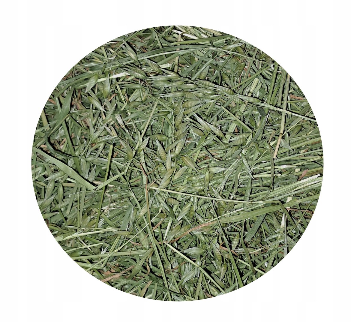 Owies cały zwyczajny ziele owsa całe 5 kg