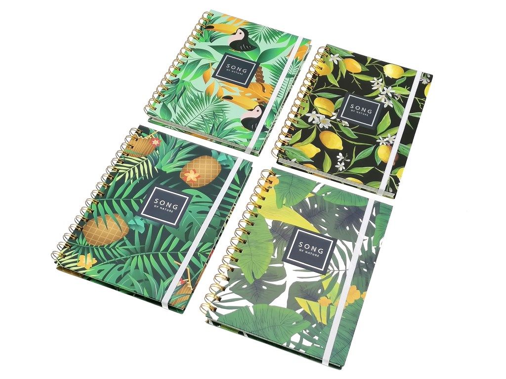 Kołonotes MIX WZORÓW; wym. 15x21cm A5 krata One Dollar (311763)