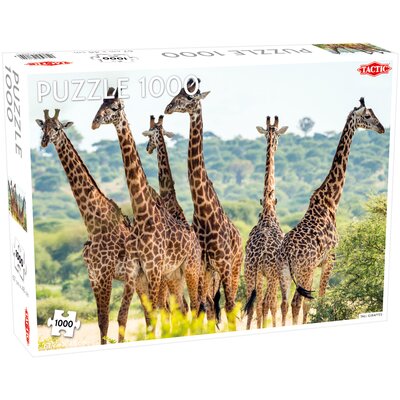 Tactic Puzzle 1000 Żyrafy