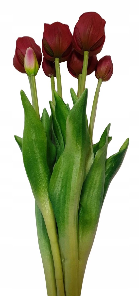TULIPAN GUMOWANY BUKIET X7 BURGUND