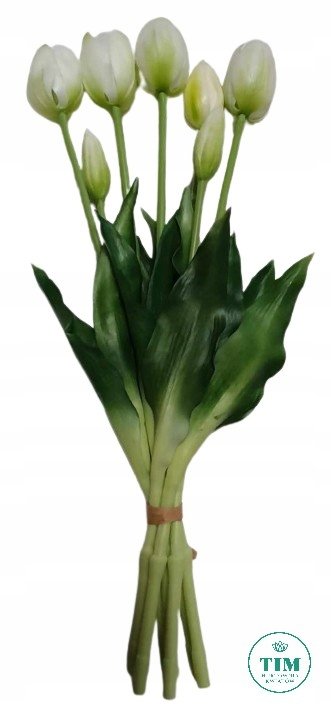 TULIPAN BUKIET GUMOWANY BIAŁY