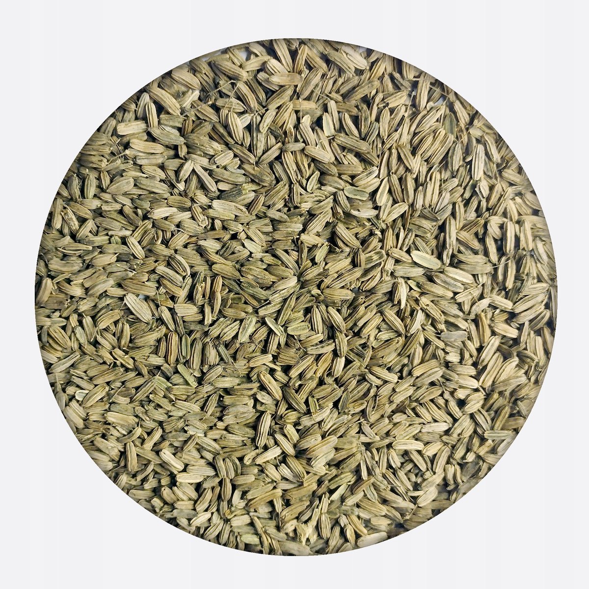 Koper fenkuł włoski nasiona kopru włoskiego 100 g