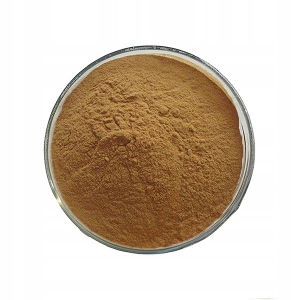 EXTRACT Pietruszka liść Petroselinum leaf 50 g