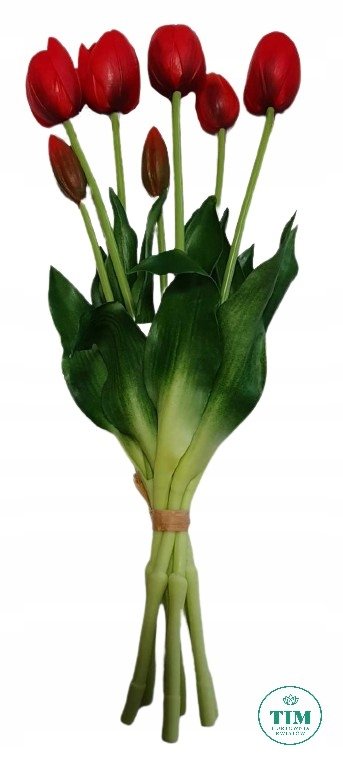 TULIPAN BUKIET GUMOWANY CZERWONY