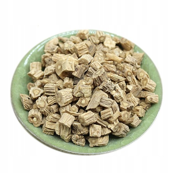 Korzeń Kodonopsa Radix Codonopsis DANG SHEN 500g