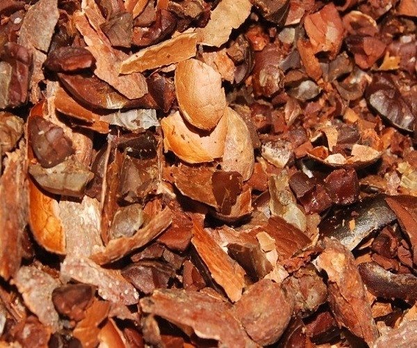Łuska Kakao Łuski Theobroma Cacao Łupina 100 g