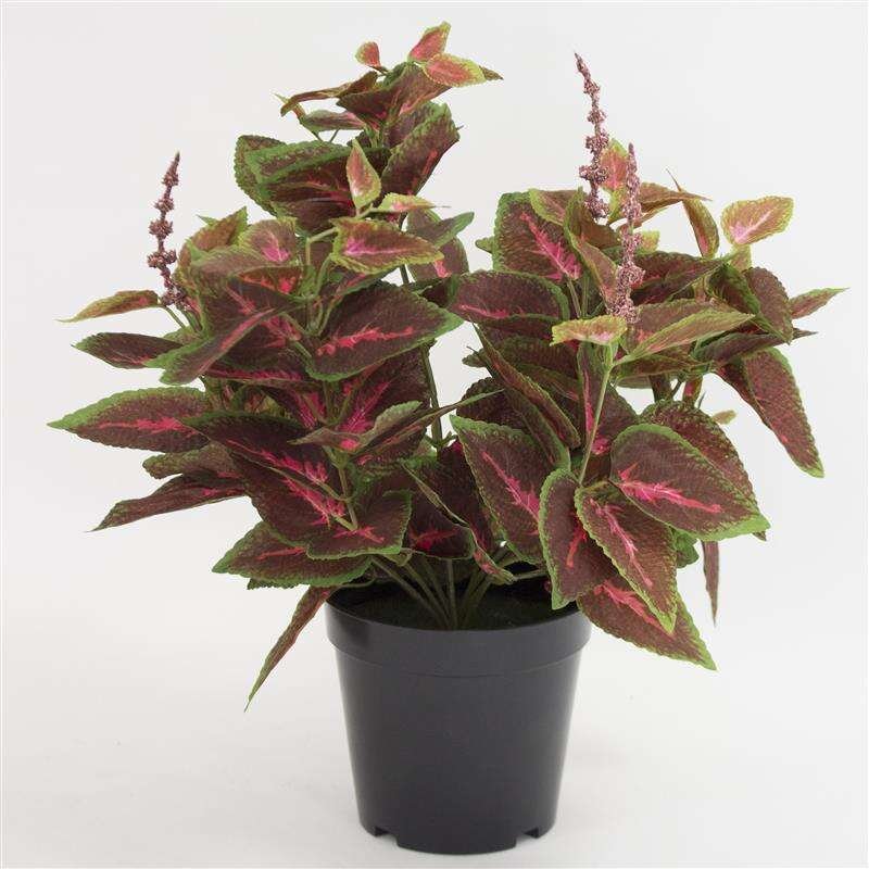 Roślina Dekoracyjna Sztuczna Doniczkowa 36 cm