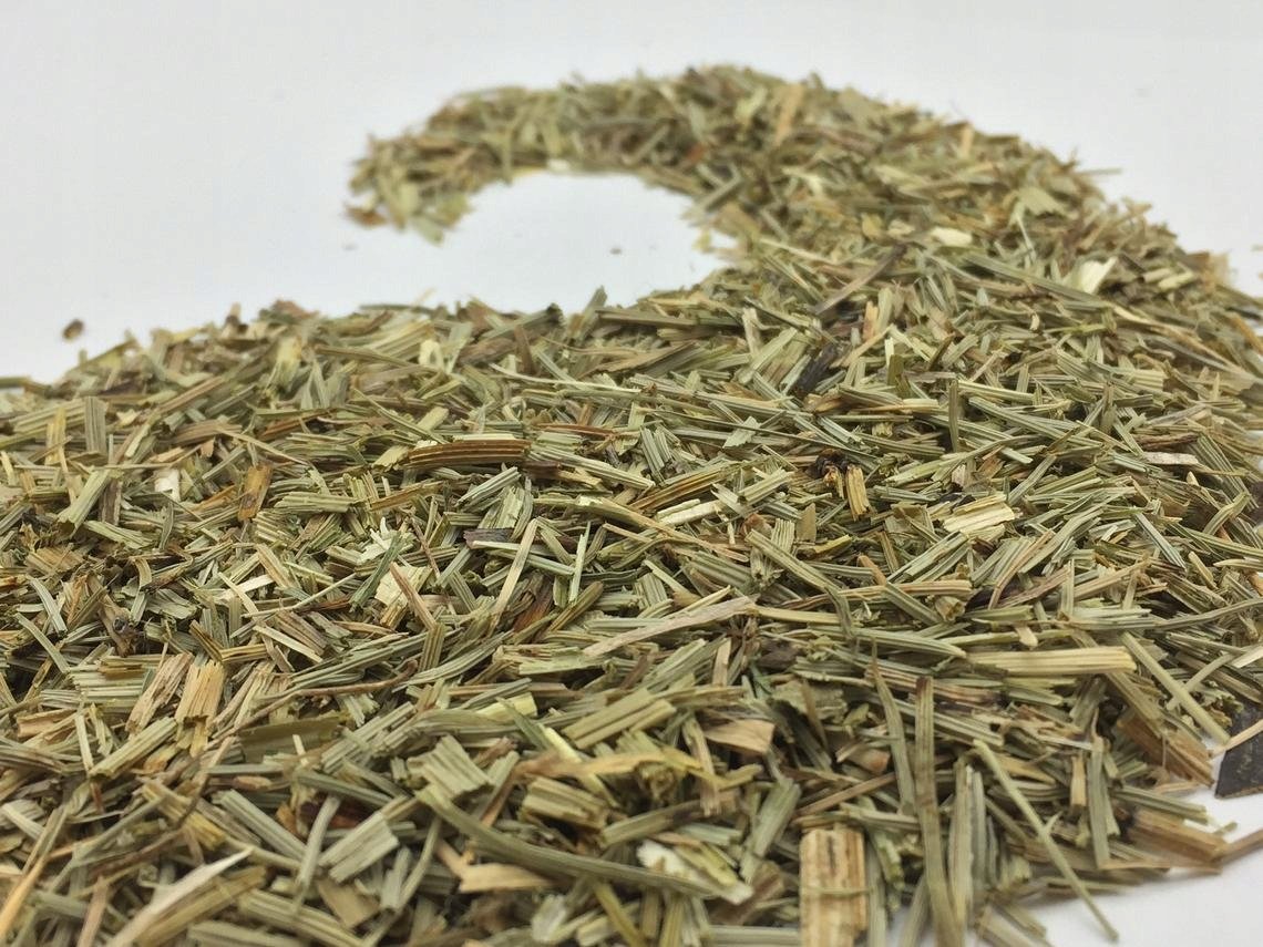 Skrzyp polny suszony ziele 100 g certyfikowany