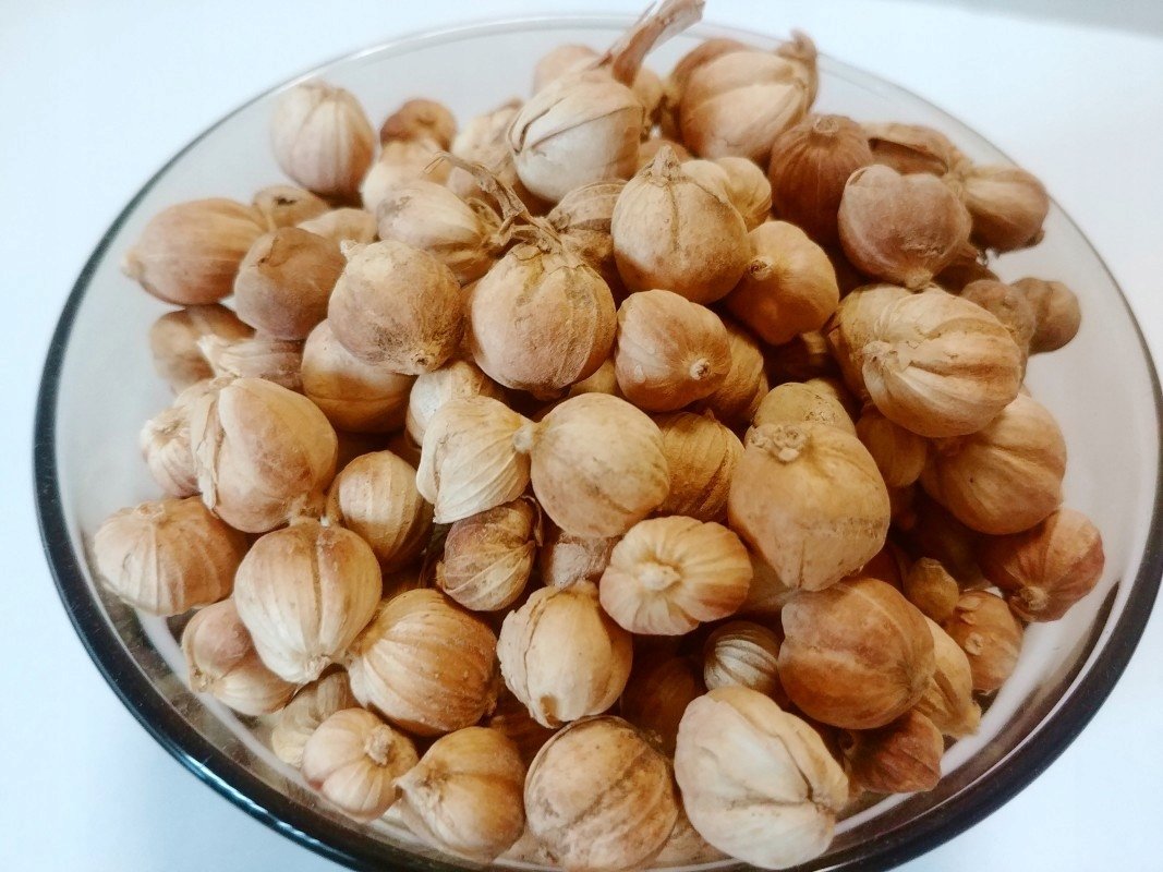 Kardamon Kulisty BAI DOU KOU owoce Kardamonu 500g