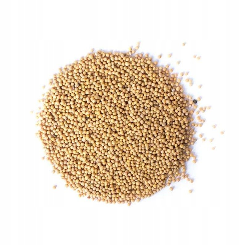 Gorczyca biała nasiona gorczycy białej Sinapis alba MysticGarden 2 kg
