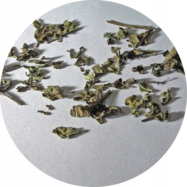 Ortosyfon susz Orthosiphon stamineus, ziele ortosyfonu suszone 500 g