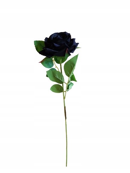 RÓŻA GAŁĄZKA CZARNY 50 CM - 24 SZT