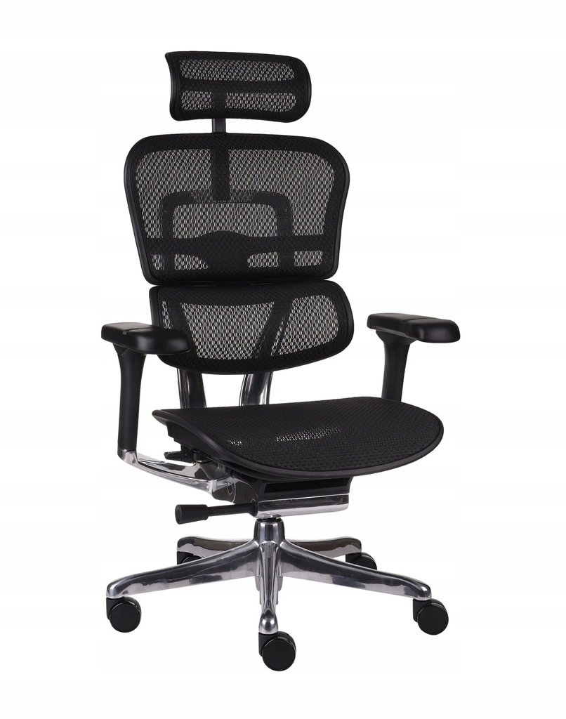 Ergonomiczny fotel biurowy Ergohuman 2 Elite BS Black, GROSPOL, siatkowy, Czarny