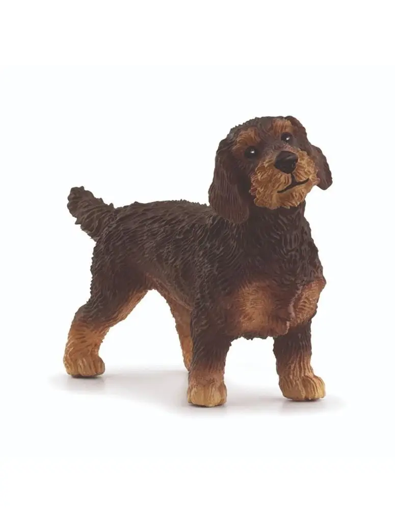 Jamnik szorstkowłosy - SCHLEICH