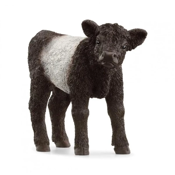Cielę rasy galloway - SCHLEICH
