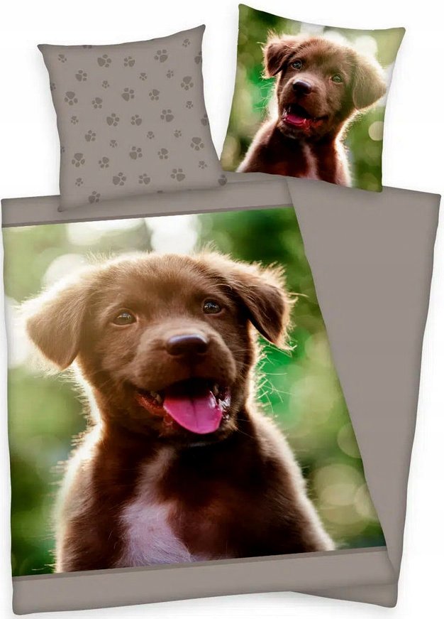 Pościel bawełniana Pies Piesek 140x200 Labrador Golden Retriever Zwierzęta Psy