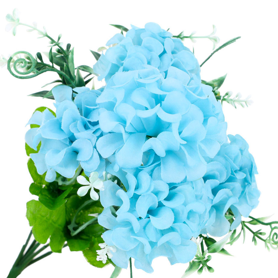 Hortensja Bukiet Niebieskich Kwiatów