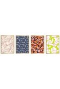 Interdruk Zeszyt A5/80K kratka Metallic Floral (10szt)