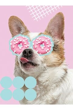 ZESZYT A5/60 # LAMINOWANY FUNNY DOG