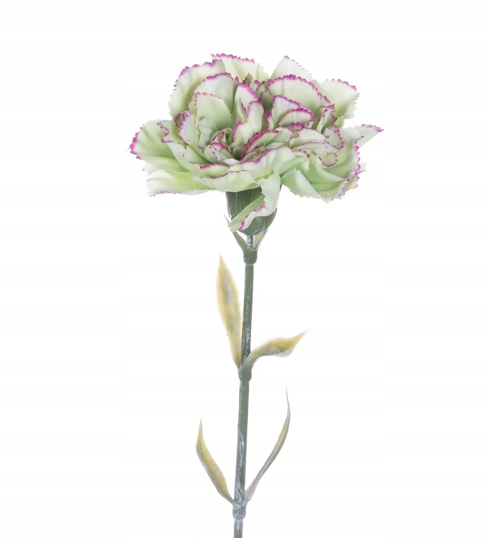 GOŹDZIK GAŁĄZKA ZIELONY 65 CM - 24 SZT