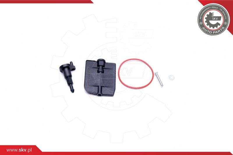 ZESTAW NAPRAWCZY ZAWORU DISA 96SKV044 BMW 3 (E46) 5 (E39, E6