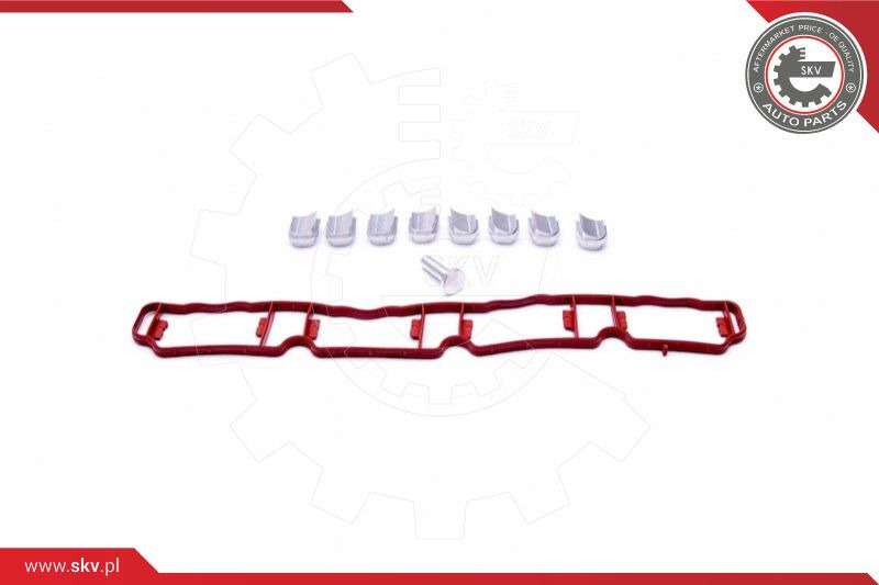 ZESTAW NAPRAWCZY 49SKV510