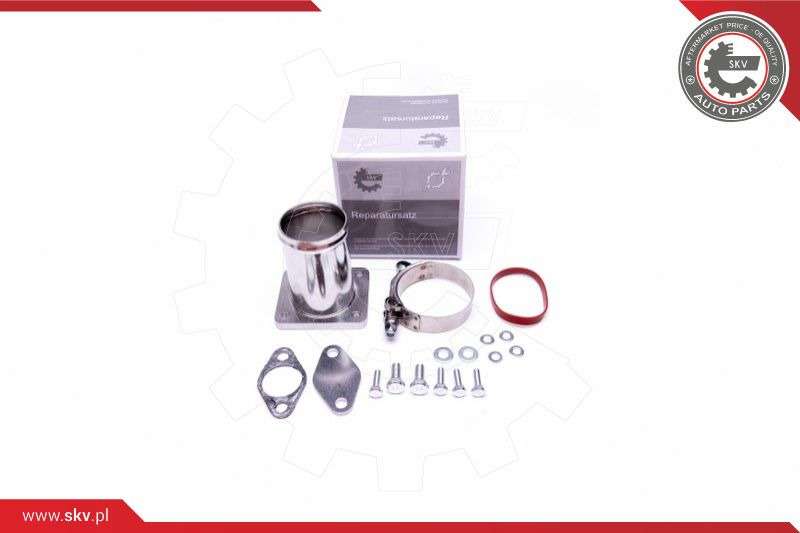 ZESTAW NAPRAWCZY ZAWORU EGR 14SKV511