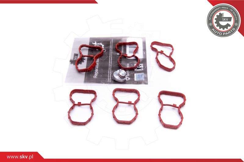 ZESTAW NAPRAWCZY 49SKV520 BMW 3 4 5 6 7 X3 X4 X5 X6