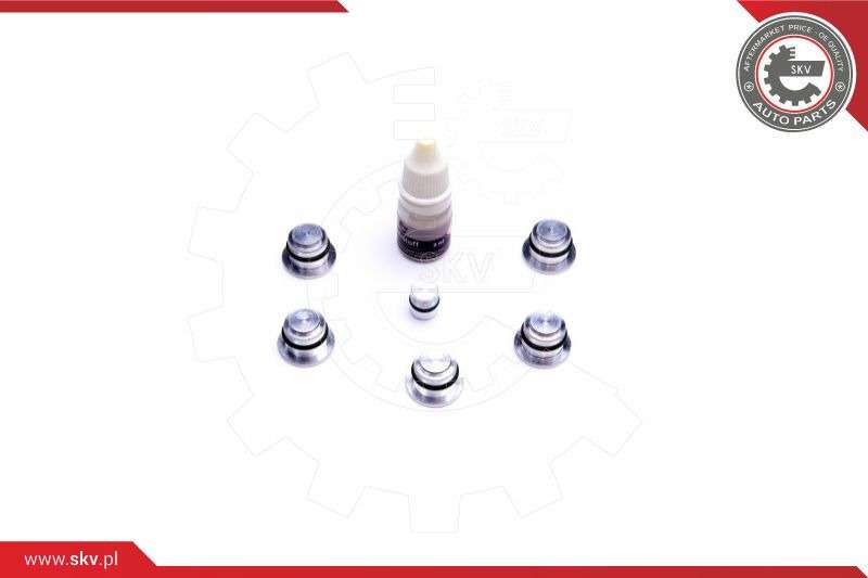 ZESTAW NAPRAWCZY 49SKV533 ALFA ROMEO 2.4 JTD MULTIJET FIAT 2