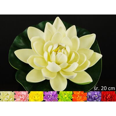 Lotos 20 cm