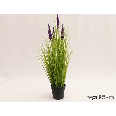 Trawa w doniczce 77 cm