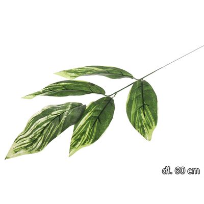 Liść mango gałązka 60 cm