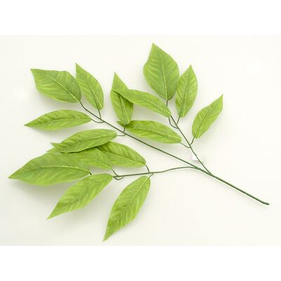 Liść mango gałązka 74 cm