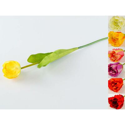 Tulipan pojedynczy 51 cm