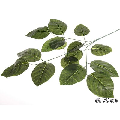 Liść bzu gałązka