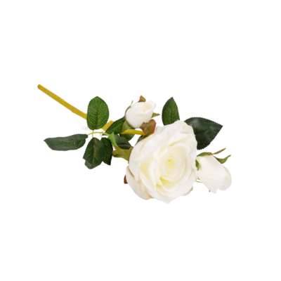 Róża mix kolorów 35 cm