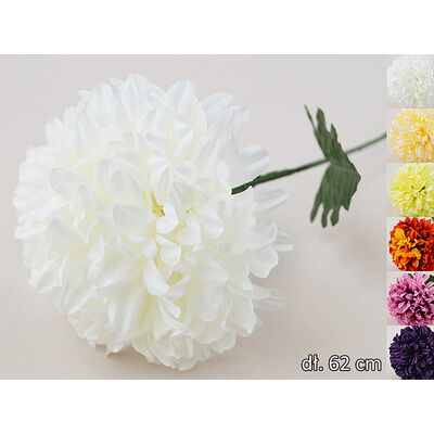 Chryzantema pojedyncza 62 cm