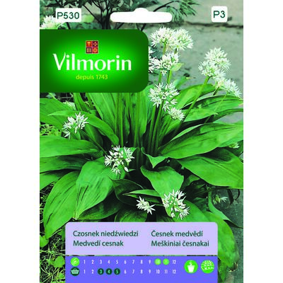 Czosnek niedźwiedzi 0,5 g Vilmorin Garden