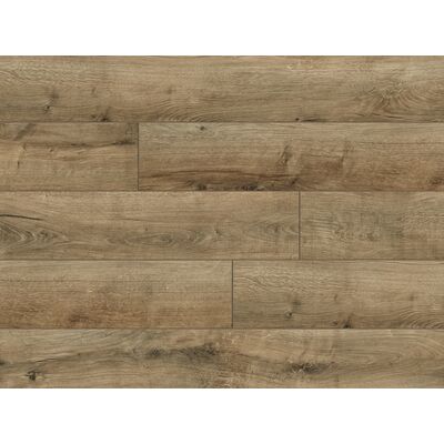 Panel Oak natural grey AC4 8 mm