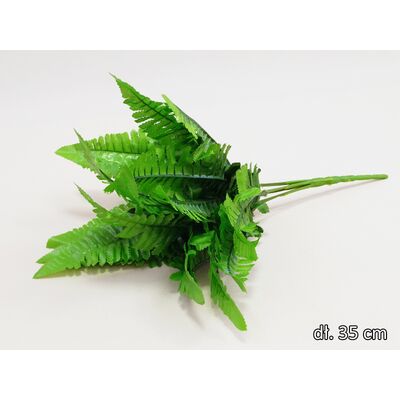 Paproć bukiet 7 sztuk