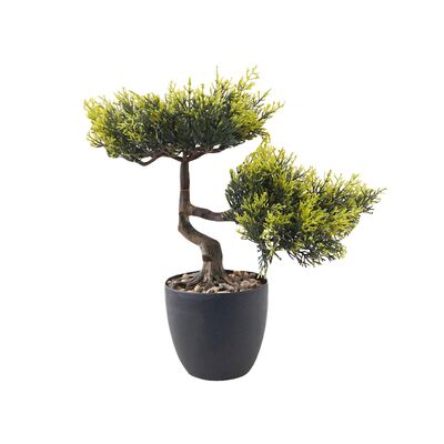 Bonsai w doniczce 30 cm