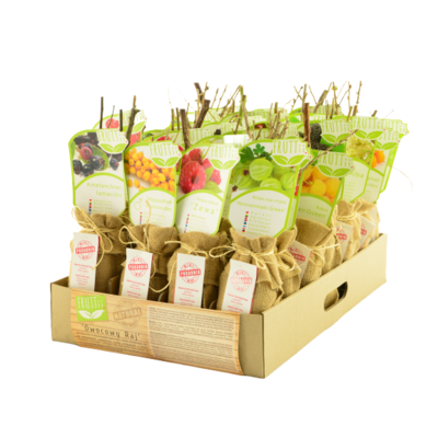 Krzew owocowy Smaki dzieciństwa Eko balot mix