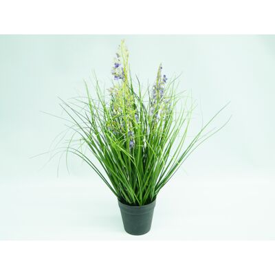 Trawa w doniczce 45 cm