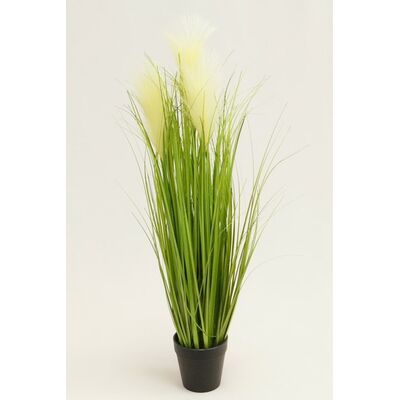 Trawa w doniczce 64 cm