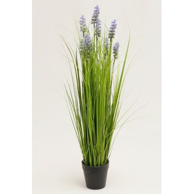 Trawa w doniczce 62 cm