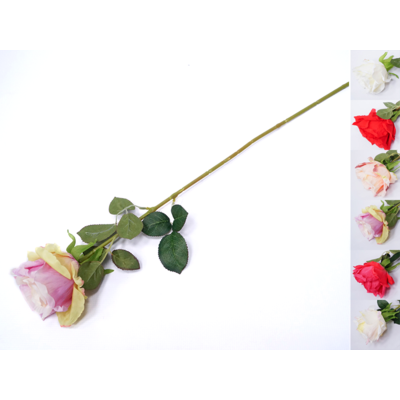 Róża pojedyncza 78 cm