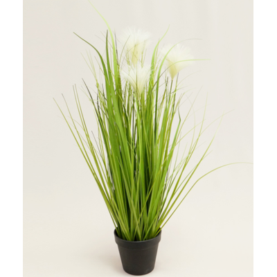 Trawa w doniczce 72 cm