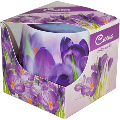 Świeca szklanka powlekana 100 g krokus