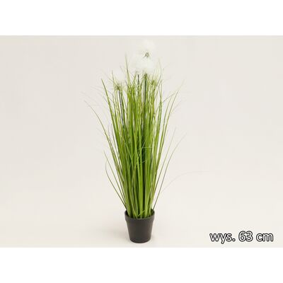 Trawa w doniczce 63 cm